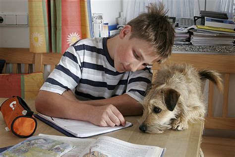 Haustiere für Kinder Welches Tier passt TIEREXPERTEN