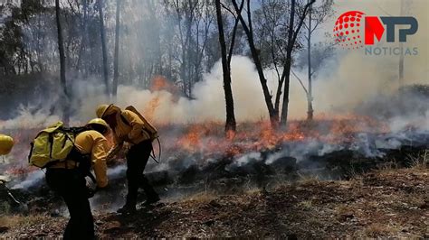 Puebla atiende en 16 minutos un incendio forestal así opera el Centro