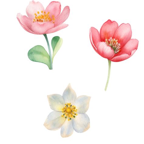 Watercolor Flowers Clipart, Floral Clipart - Etsy