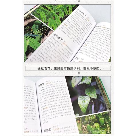 醫學用書 醫學係 簡體版 醫療名詞 1500種中草藥野外識別彩色圖鑑 中草藥書入門醫學書籍 綱目 蝦皮購物