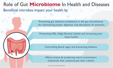 Role of Gut Microbiome In Health and Diseases | There are many ...