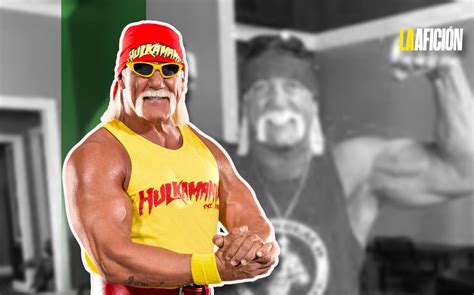 Que Paso Con Hulk Hogan Outlet Valleyglass