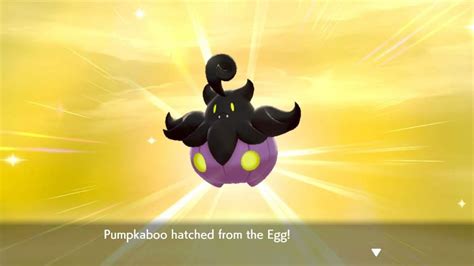 Can Pumpkaboo Be Shiny in Pokemon Go? Answered