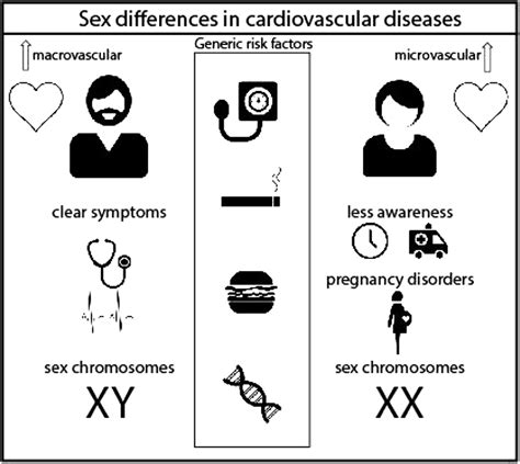 Sex Matters To The Heart A Special Issue Dedicated To The Impact Of Sex Related Differences Of