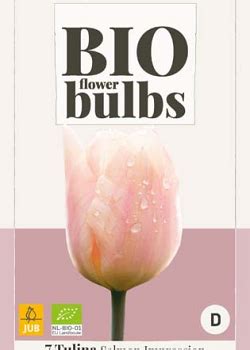 X 7 TULIPA SALMON IMPRESSION BIO 11 JUB Holland