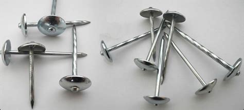 Stainless Steel Nails-Roofing Felt Nails with Umbrella Caps and Ring Shanks