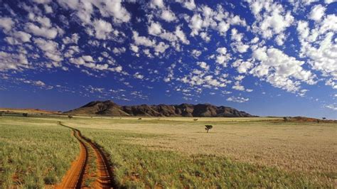 Dirt Road In Middle Of Grass Field Under Blue Sky Hd Wallpaper