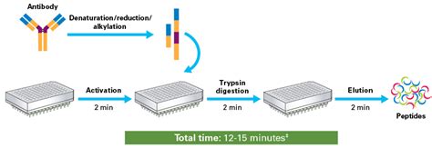 Capturem Trypsin Digestion For Mass Spectrometry