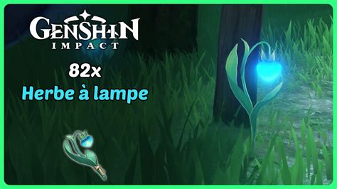 abolir Chaparder Une nuit herbes à lampe genshin impact Annonce Pendre