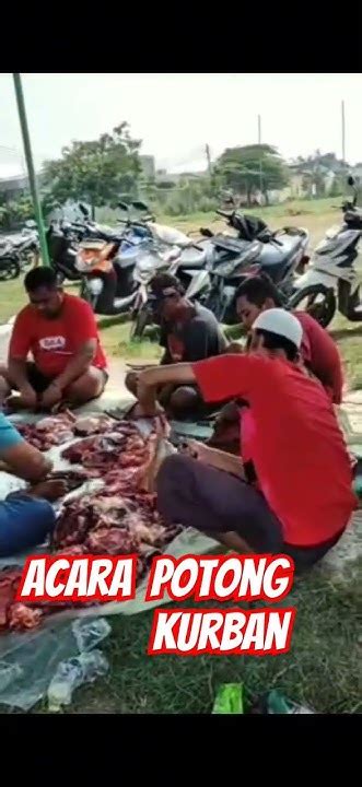 Acara Pemotongan Kurbankegiatanrumahtangga Kegiatanharian