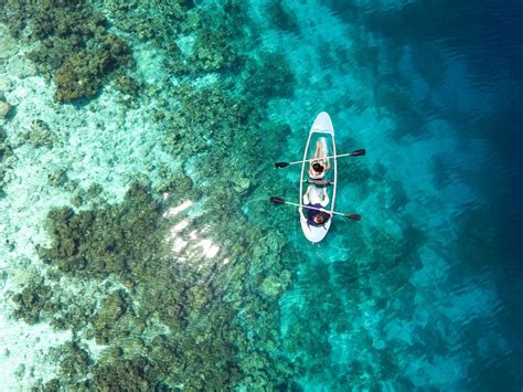 Thriving Marine Life in the Maldives | The Lazing Wanderer