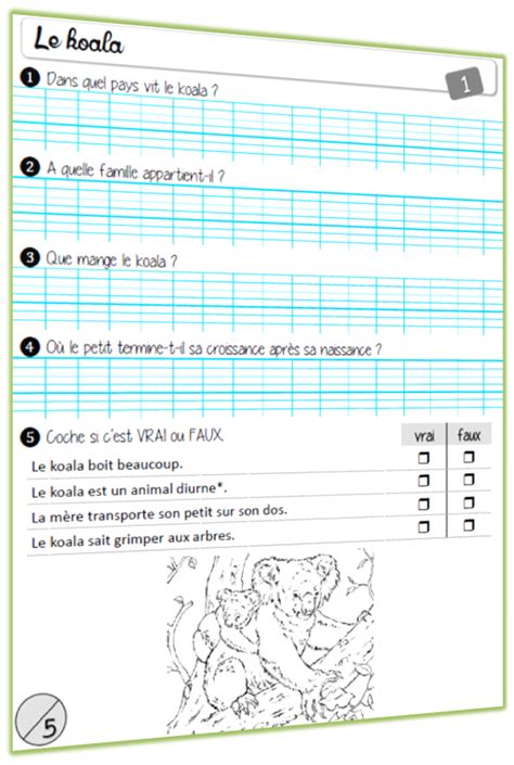 Rallye Lecture Documentaire Les Animaux Lutin Bazar Rallye