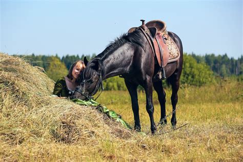 Дом пестрой лошади — частная конюшня в Строгино Фотосессии с лошадьми