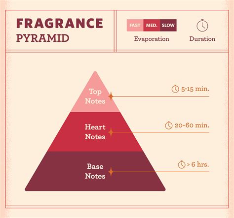 Fragrance Notes Everything You Need To Know FragranceX