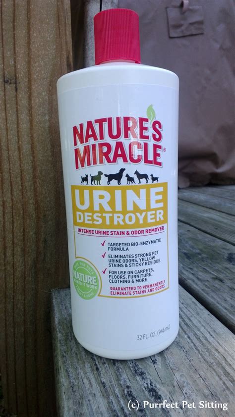 Pet Sitter Product Review: Nature's Miracle Urine Destroyer | Purrfect ...