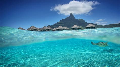 Beautiful Aqua Blue Lagoon Dream Isl Bora Bora Tahiti Desktop