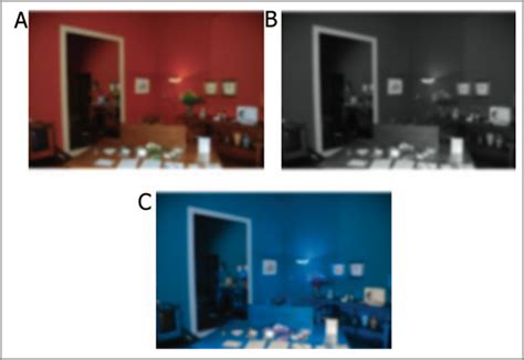 5 Psychology Studies On How People Perceive Visual Information