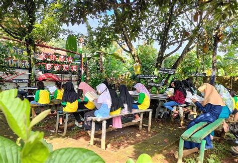 Taman Bacaan Tbm Lentera Pustaka Mampukah Taman Bacaan Bertahan Di Era