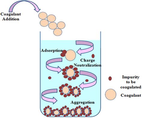 Mechanism for the coagulation process in textile water treatment ...