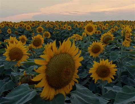 ci vuole poco per sentirsi più vicini...... su Le Mie Emozioni... 