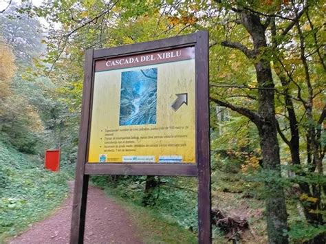 Fotos Ruta Por El Hayedo De Montegrande Hasta La Cascada Del Xiblu