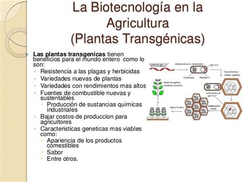 Biotecnología En La Agricultura