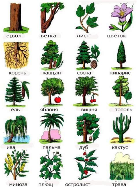 Pin di Nat Southwell su Я говорю по-русски | Italia, Vocabolario ...