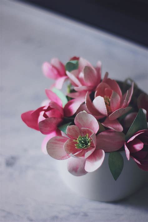 Цветы магнолии из бумаги шаблон | DIY magnolia paper flowers l svg