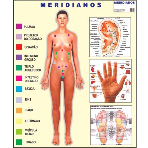 Mapa Meridianos Acupuntura Orelha Mão Pés Anatomia Corpo Humano Poster