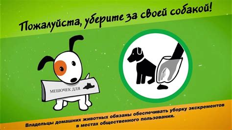 Уберите за своей собакой - YouTube