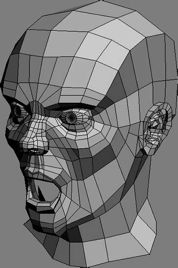 Male Head Base Mesh 3d Model