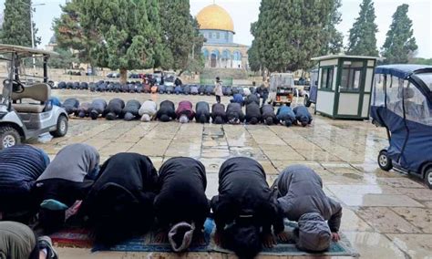 Sebanyak 13 Ribu Warga Palestina Shalat Jumat Di Masjid Al Aqsa