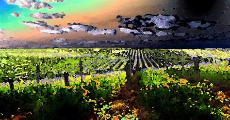 Eric Forster Fine Art Vineyards