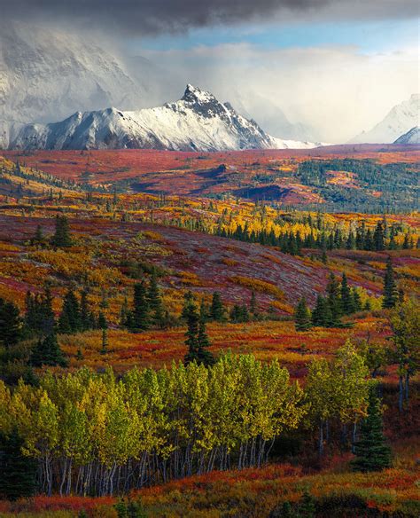 Fall Tundra Alaska Marc Adamus Photography