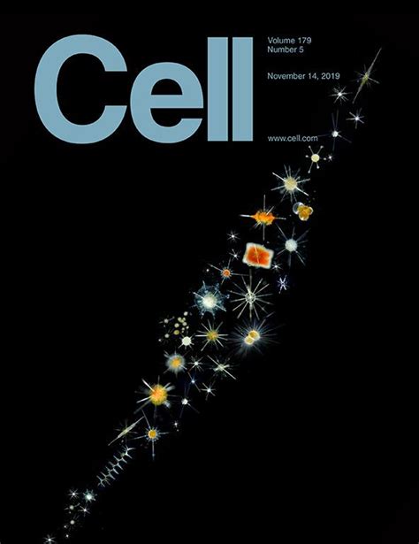 科学与艺术的结合！《cell》100张期刊封面鉴赏｜2019年篇 知乎