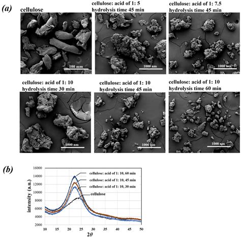 A Morphologies And B Xrd Patterns Of Cellulose And Cellulose