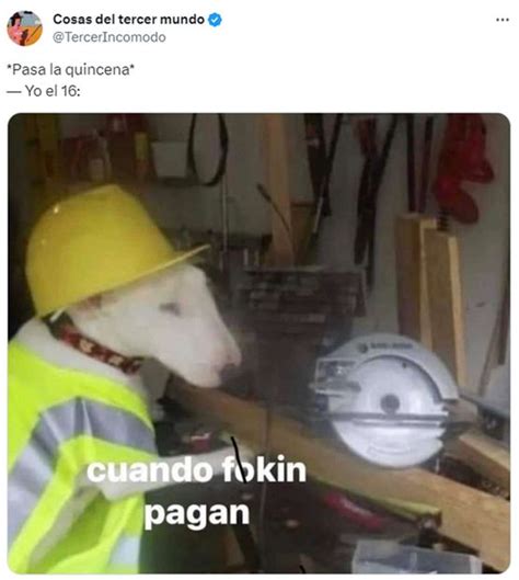 Se Quedaron Sin Dinero Quincena Larga Desata Ola De Memes Para