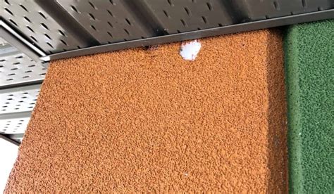 Can woodpeckers damage your house? - Met Exteriors