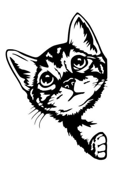 A Black And White Drawing Of A Cat With Glasses On It S Head Looking Up