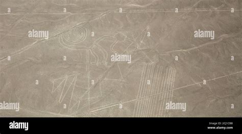 The Monkey, Nazca Lines, Peru Stock Photo - Alamy