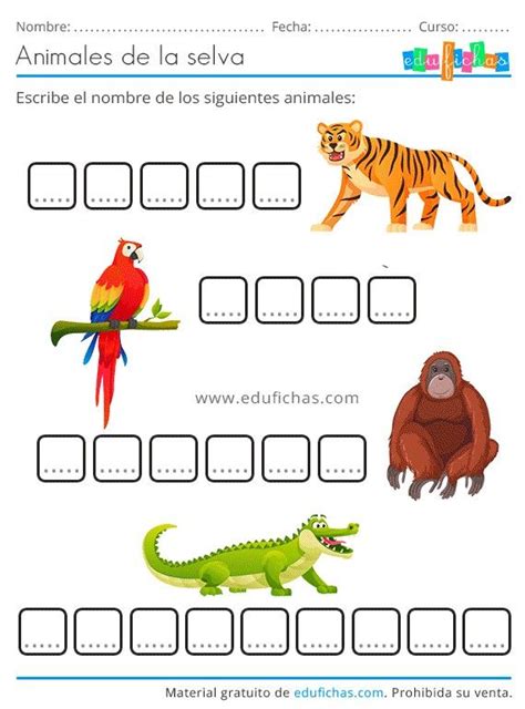 Pin De Ver Nica Palacios Jim Nez En Fichas Para Edu Fauna De La Selva