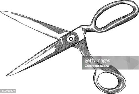 452 Engraved Scissors Stock Photos High Res Pictures And Images