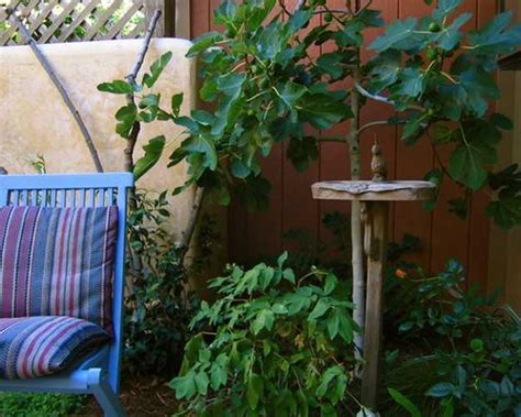 Mexican Style Garden Designs and Yard Landscaping Ideas