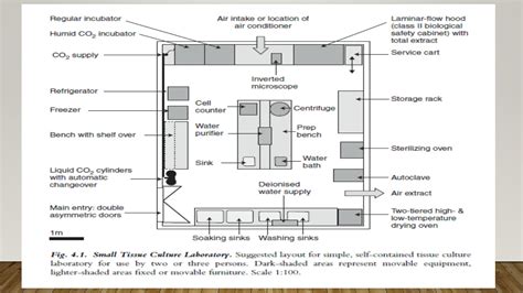 SOLUTION: Desain laboratorium kultur jaringan - Studypool