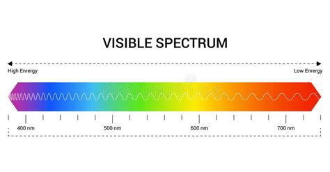 Light Spectrum Uv Stock Illustrations – 204 Light Spectrum Uv Stock ...