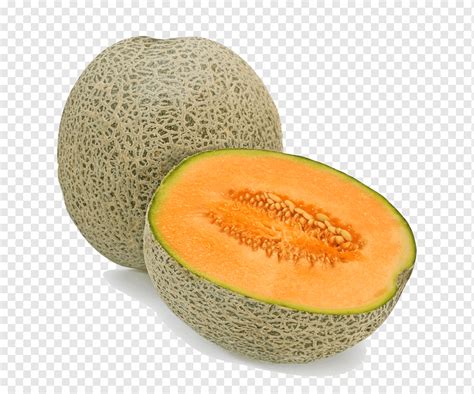 Cantaloupe Honeydew Melon Fruit Vegetable Melon Food Eating Galia