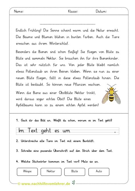 Sachtexte Lesen Bienen Kostenloses Arbeitsblatt Grundschule Deutsch