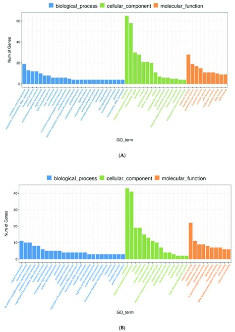 Go Function Enrichment Analysis Of Degs In Fwg Vs Bwg Fwk Vs Bwk