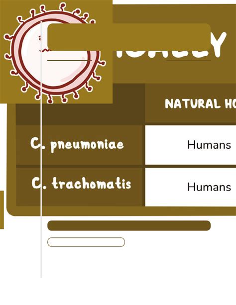 Chlamydia Notes: Diagrams & Illustrations | Osmosis