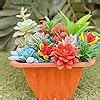 NA Woohome 34 PCS Artificial Succulents Picks Set 24 PCS Mixed Color